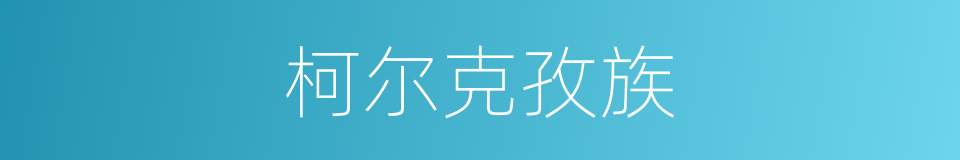 柯尔克孜族的意思