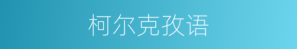 柯尔克孜语的同义词