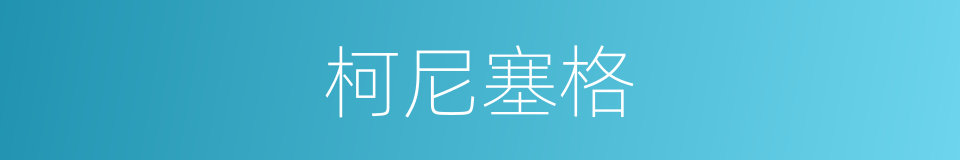 柯尼塞格的同义词