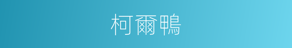 柯爾鴨的同義詞
