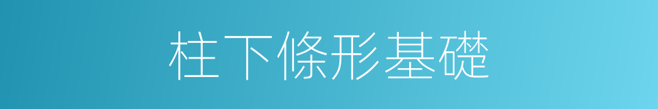 柱下條形基礎的同義詞