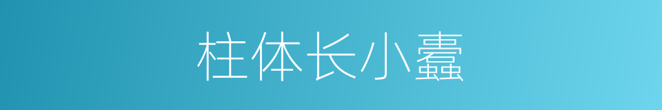 柱体长小蠹的同义词