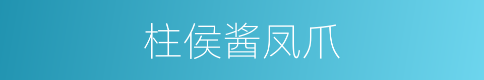 柱侯酱凤爪的同义词