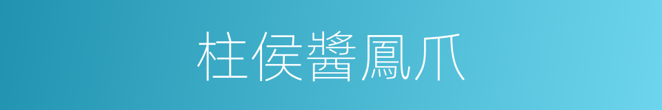 柱侯醬鳳爪的同義詞