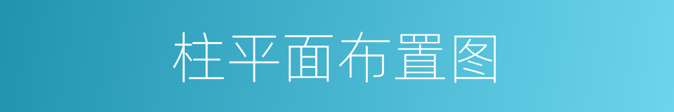 柱平面布置图的同义词