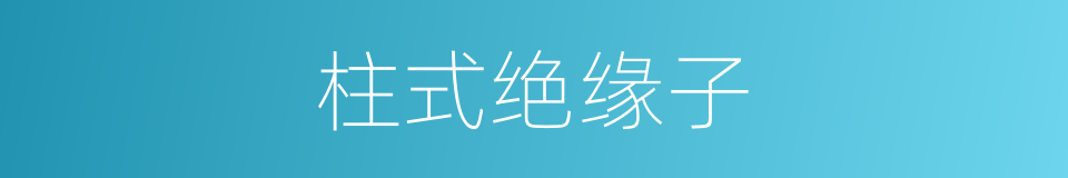 柱式绝缘子的同义词