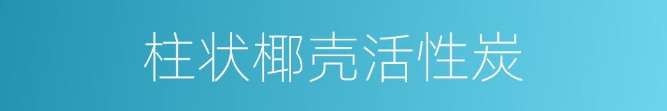 柱状椰壳活性炭的同义词