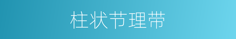 柱状节理带的同义词
