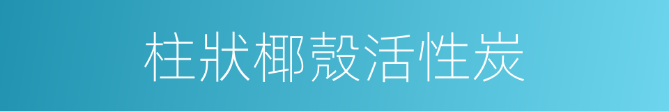 柱狀椰殼活性炭的同義詞