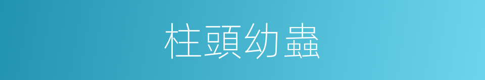柱頭幼蟲的同義詞