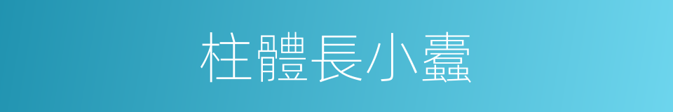 柱體長小蠹的同義詞