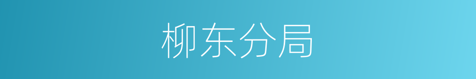 柳东分局的同义词