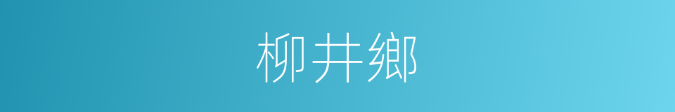 柳井鄉的同義詞