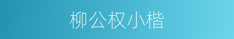 柳公权小楷的同义词