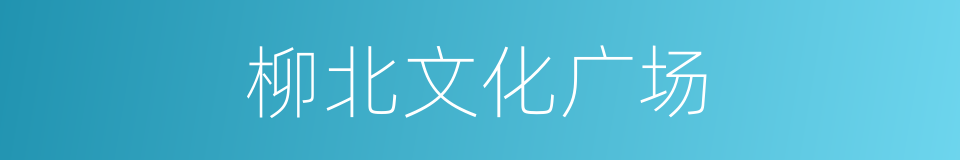 柳北文化广场的同义词