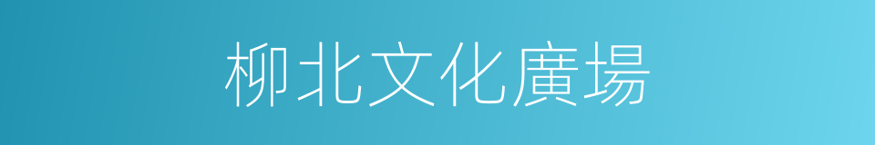 柳北文化廣場的同義詞