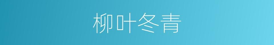 柳叶冬青的同义词