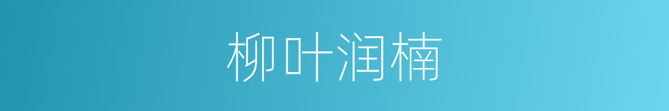 柳叶润楠的同义词