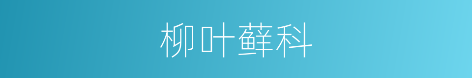 柳叶藓科的意思