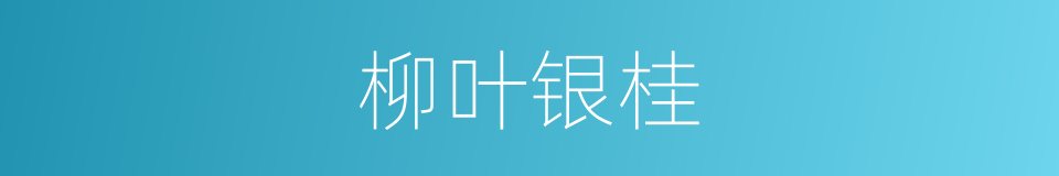 柳叶银桂的同义词