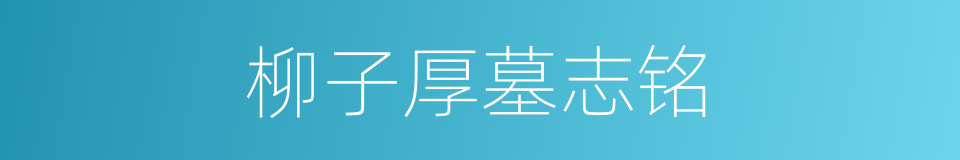 柳子厚墓志铭的同义词