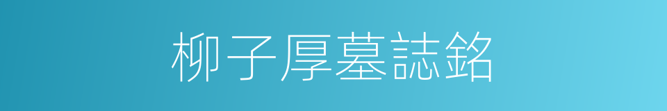 柳子厚墓誌銘的同義詞