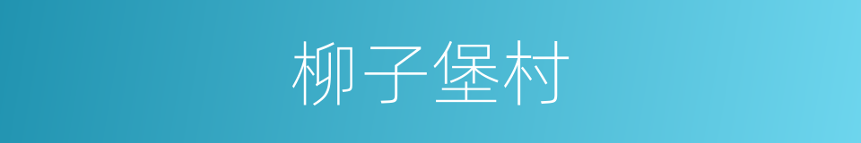 柳子堡村的同义词