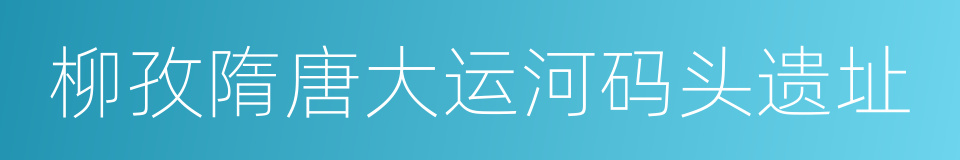 柳孜隋唐大运河码头遗址的同义词
