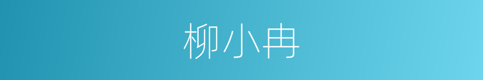 柳小冉的同义词