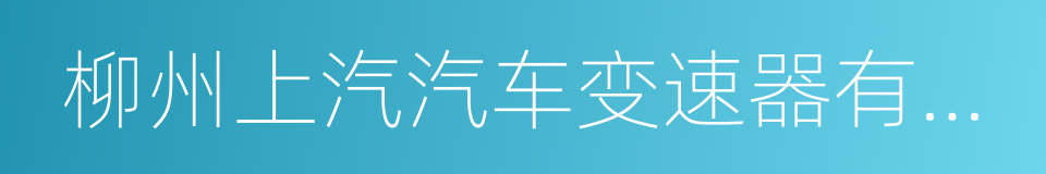 柳州上汽汽车变速器有限公司的同义词