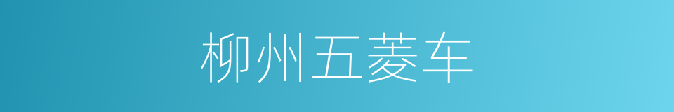 柳州五菱车的同义词