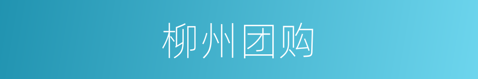 柳州团购的同义词