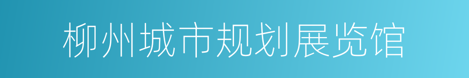 柳州城市规划展览馆的意思