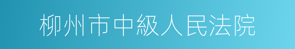 柳州市中級人民法院的同義詞