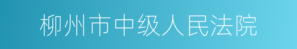 柳州市中级人民法院的同义词