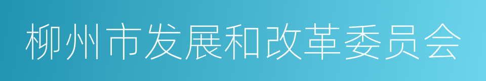 柳州市发展和改革委员会的同义词