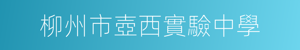 柳州市壺西實驗中學的同義詞