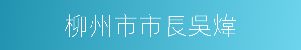 柳州市市長吳煒的同義詞