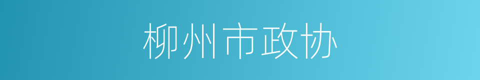 柳州市政协的同义词