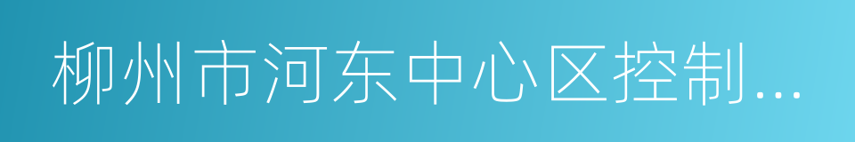 柳州市河东中心区控制性详细规划的同义词