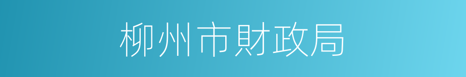 柳州市財政局的同義詞