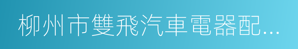 柳州市雙飛汽車電器配件制造有限公司的同義詞