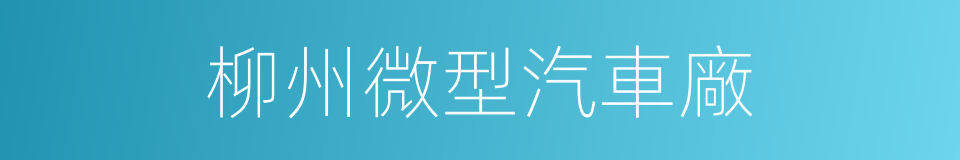 柳州微型汽車廠的同義詞