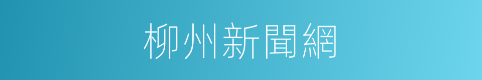 柳州新聞網的同義詞