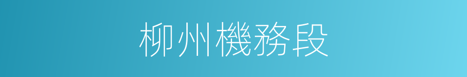 柳州機務段的同義詞