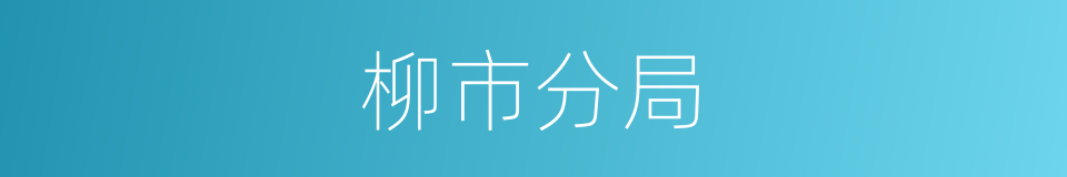 柳市分局的同义词