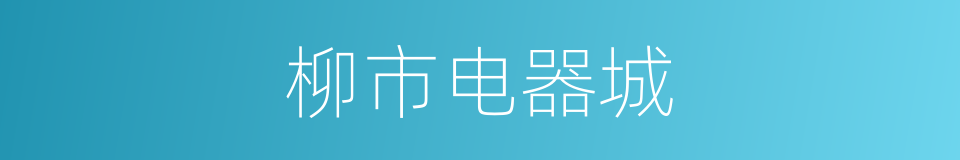 柳市电器城的同义词