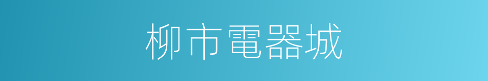 柳市電器城的同義詞