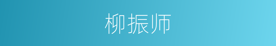 柳振师的同义词