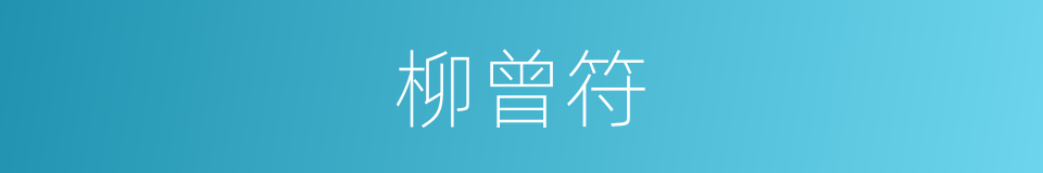 柳曾符的同义词